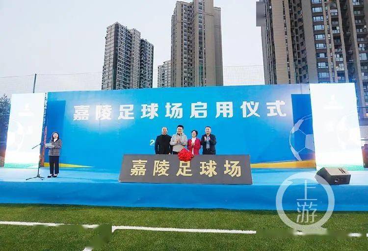 国际足联标准足球场地的规格与要求