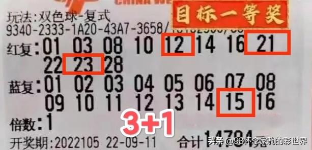 预测 第13页