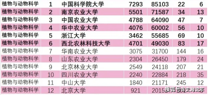 分析 第24页