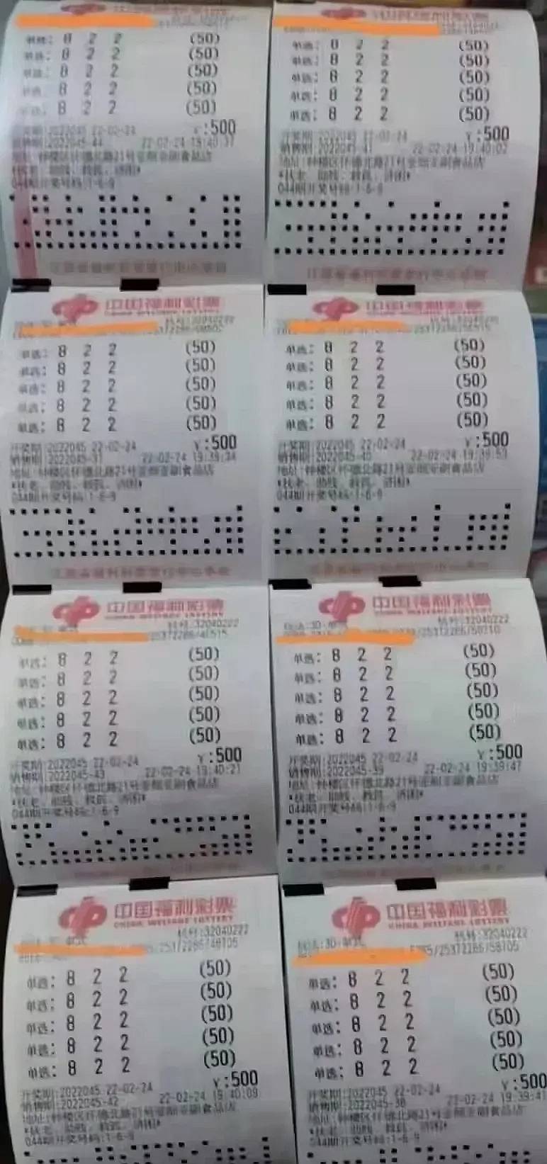 彩票的秘密，揭秘中奖背后的故事与策略