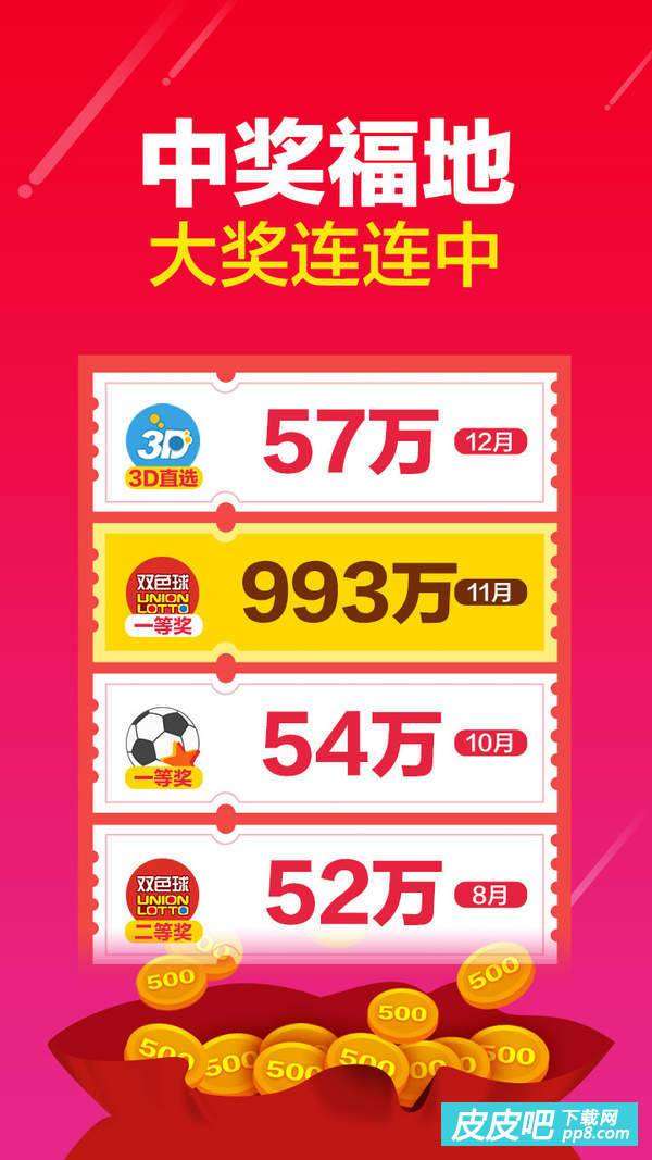 中国体彩网竞彩，体育彩票的数字化转型与未来发展