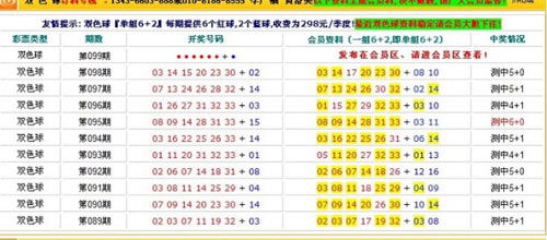 探索28彩票投注平台的奥秘