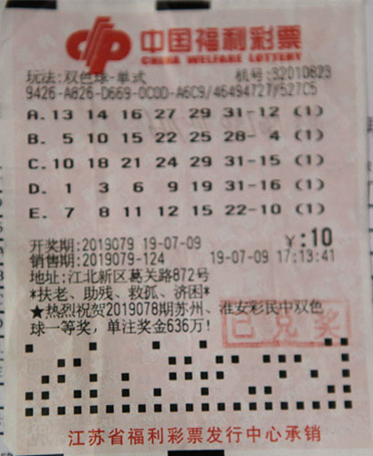 彩票中奖查询表双色球，揭秘中奖背后的故事
