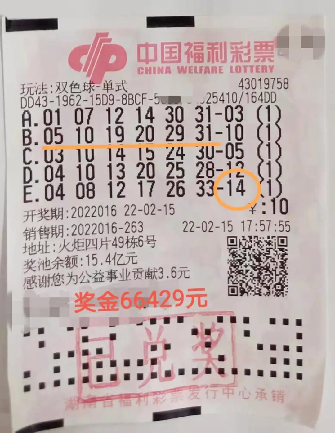 管家婆的资料一肖中特，揭秘背后的神秘与智慧管家婆1肖中特