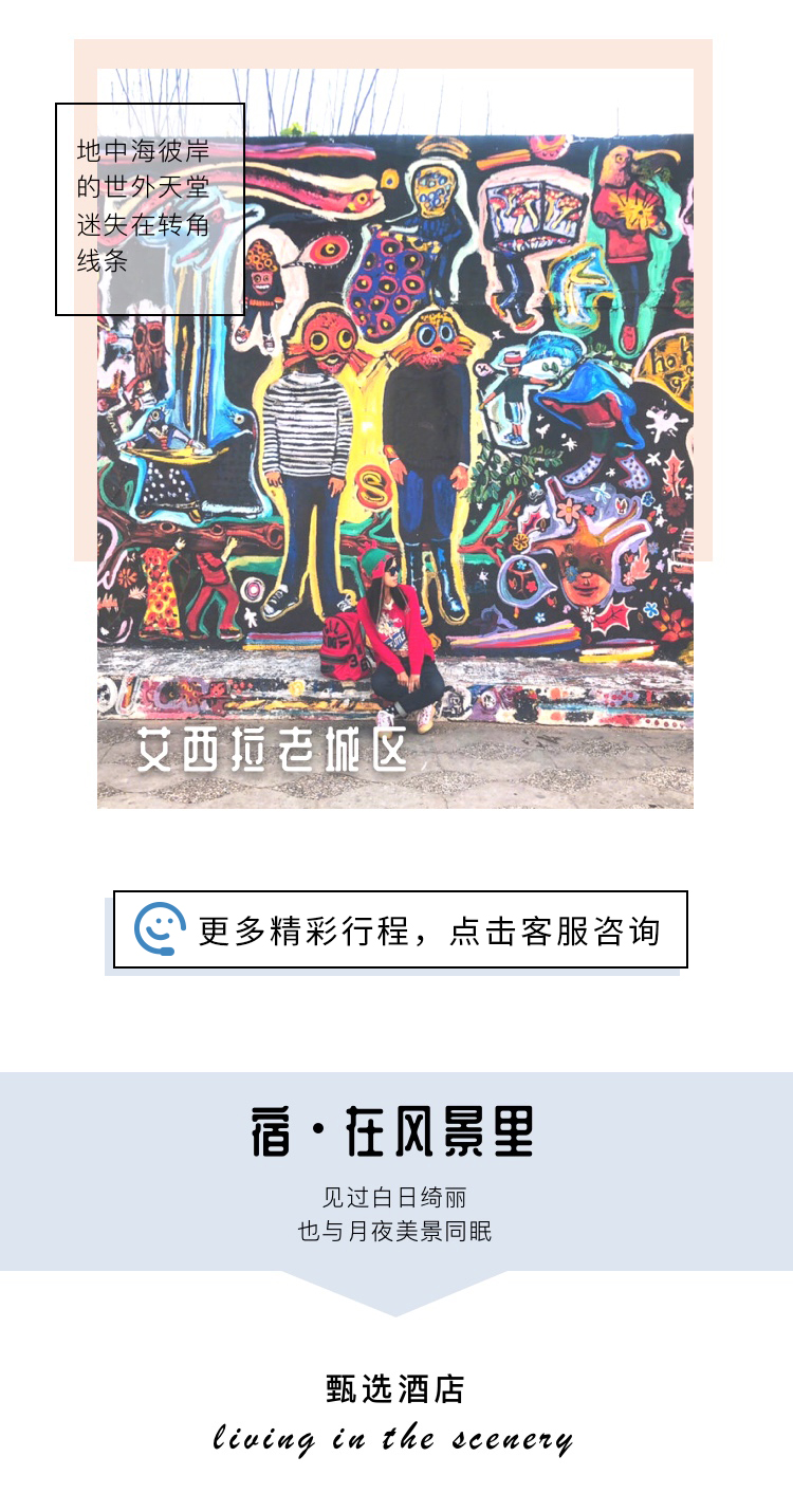 双色开的秘密，探索色彩的二重奏