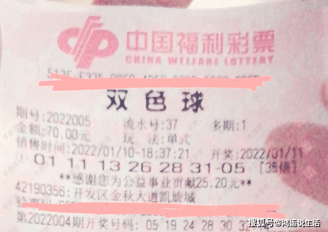 图表分析