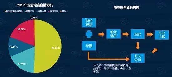比分直播球探网0007，实时数据与体育分析的完美结合