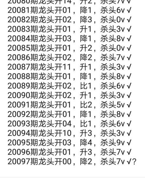 管家婆心水主论坛，深度解析与理性探讨管家婆心水论高手论坛