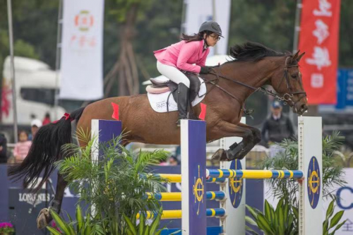 2019年马会正版，重塑香港赛马的辉煌与未来2019年马会正版全年免费资科