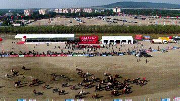 2019香港马会全年资料大全，精彩赛事与辉煌成就的年度回顾香港2020马会资料