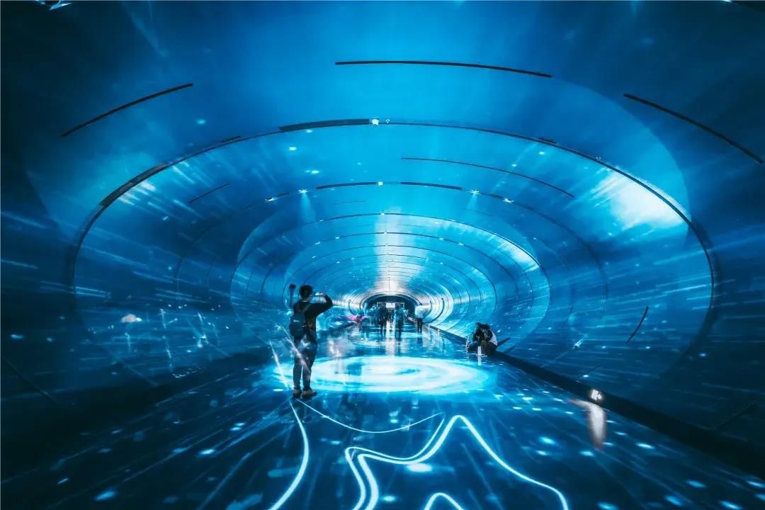 澳门资料大全2035，探索世界四大赌城的魅力与奥秘澳门资料大全免费2023年最新版使用方法