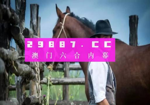 澳门6合资料库大全，深度解析与使用指南澳门6合资料库大全2023年开奖记录