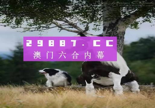 澳门跑狗3769，揭秘背后的真相与警示澳门跑狗376ww