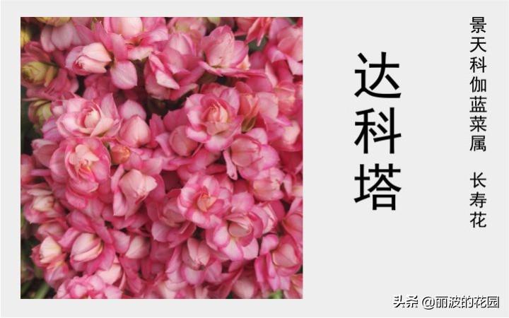 探索1与 8，揭秘数字图谱的奥秘—以解密，神秘的⒑捌（即‘为题118图库彩图118开奖