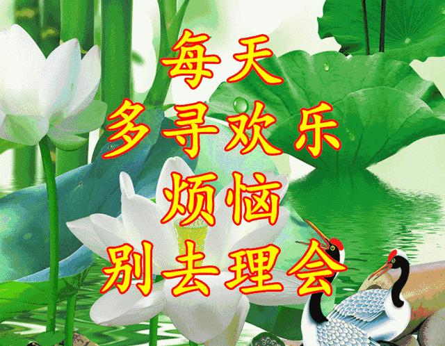 四川快乐12，探寻生活小确幸的神秘钥匙四川快乐12开奖结果走势图