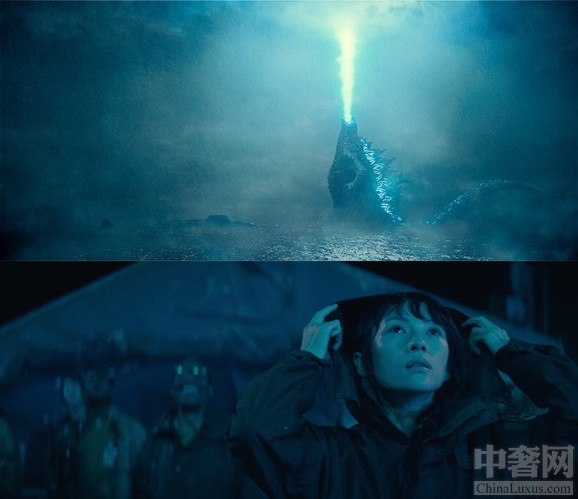 2046年新奥门王中王的神秘面纱，揭秘与展望2024年新奥门王中王资料五码中特