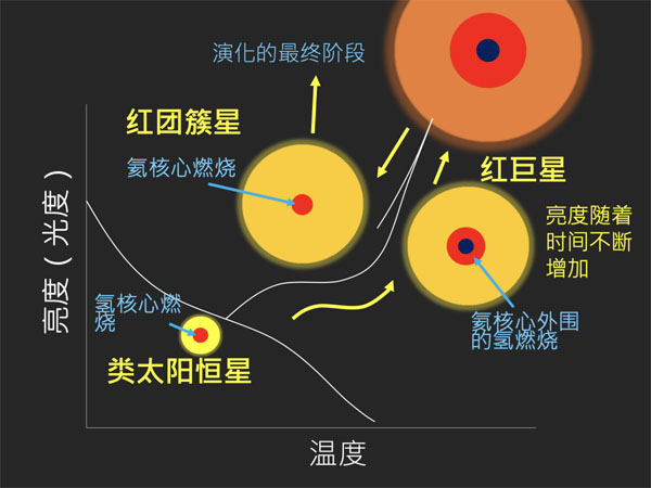 今晚一肖中特，揭秘数字时代的幸运密码一肖中特今晚期期准