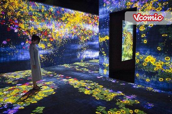 探索3D红五图库，沉浸式体验与智慧娱乐的完美结合3d红五图库总汇