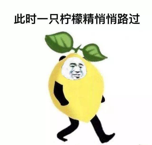 2019码特开奖结果，揭秘数字背后的幸运与期待2019开码结果査询开奖