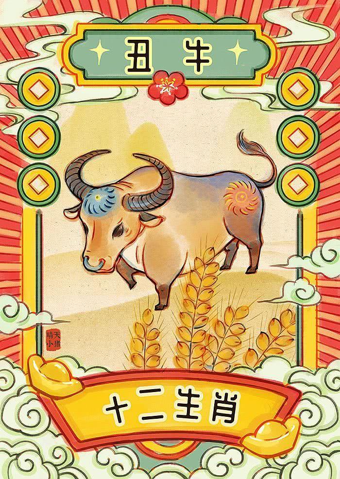 揭秘新澳天天开奖资料大全105，深度解析与理性看待新澳天天开奖资料大全1052期十二不中