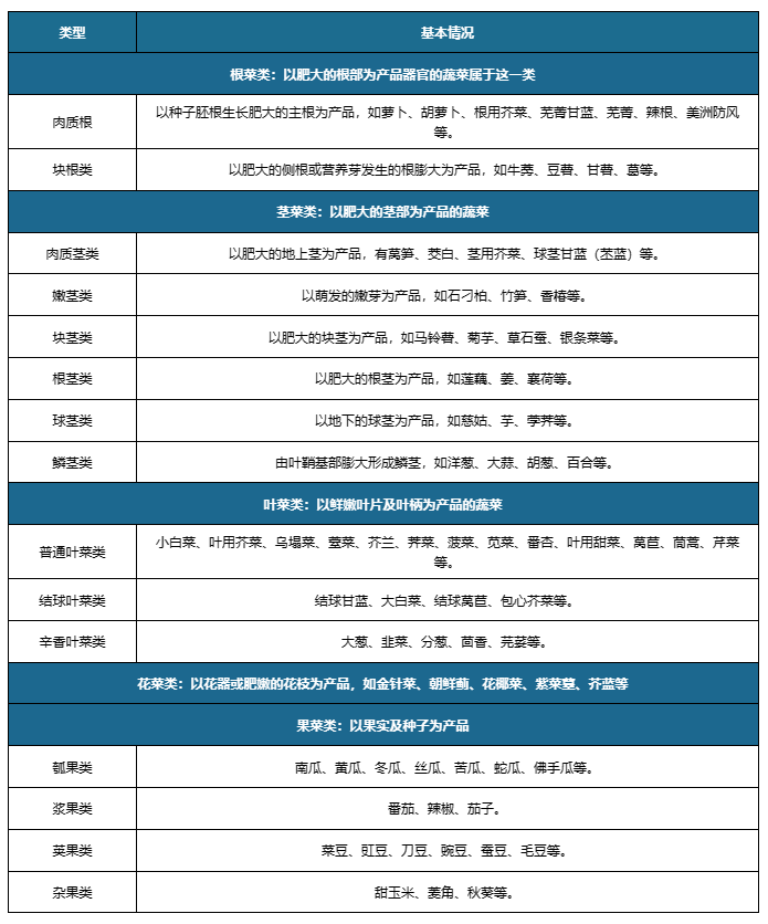 澳门管家婆资料大全，2014年至今的深度解析与未来展望