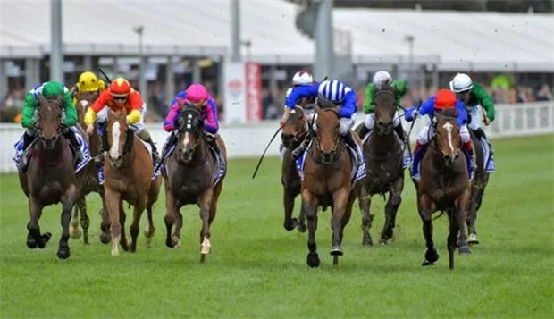 2018香港马会资料大全，赛场风云与投注指南香港2021年马会资料大全