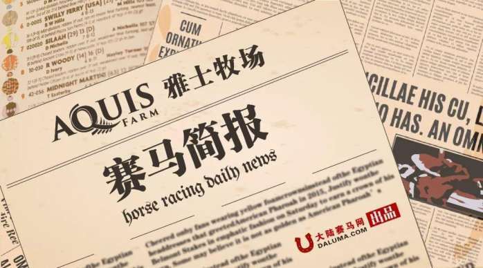 今期马会传真，揭秘香港赛马的魅力与技巧今期马会传真内部封信