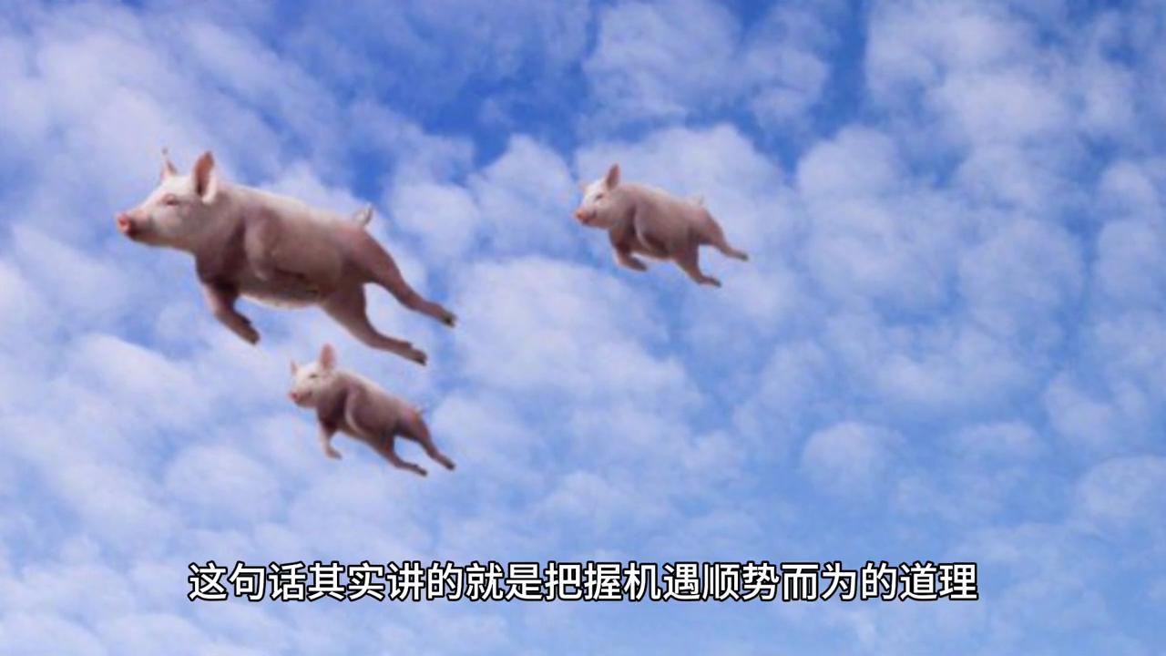 2043年，回望与展望—香港历史开奖记录65期的启示2024香港历史开奖记录65期了吗