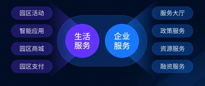 淘码论坛，数字时代的智慧交流平台淘码论坛网