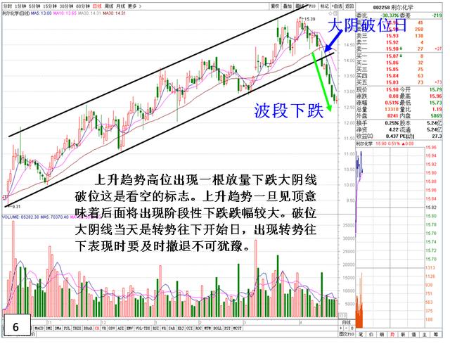 精准特马资料，揭秘预测与理性购彩的平衡特马资料最准2024开奖前一天0期