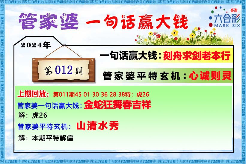 揭秘二四六香港管家婆期，精准资料与理性投注的平衡49234香港管家婆