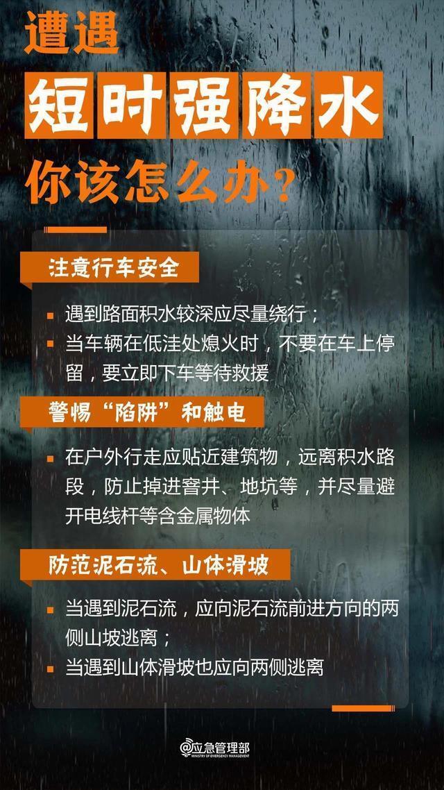 2036年澳门免费资料大全下载，安全、合法与高效获取信息的指南2023澳门免费资料大全下载地址