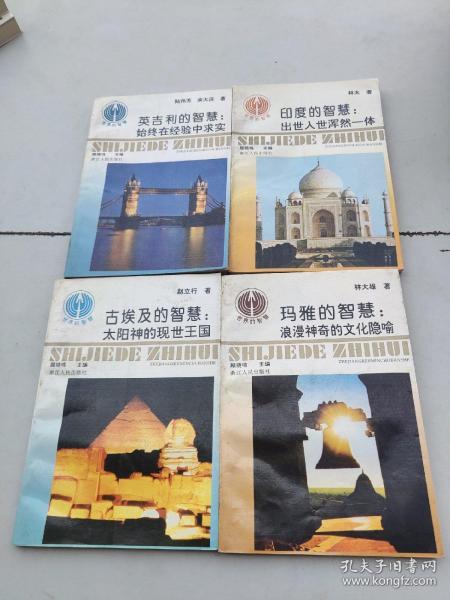 玛雅论坛网，探索古代文明的智慧与现代科技的融合玛雅论坛网盘资源