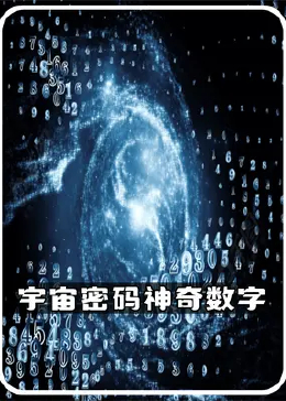 探索数字背后的秘密，揭秘www.2935061874的奇妙世界