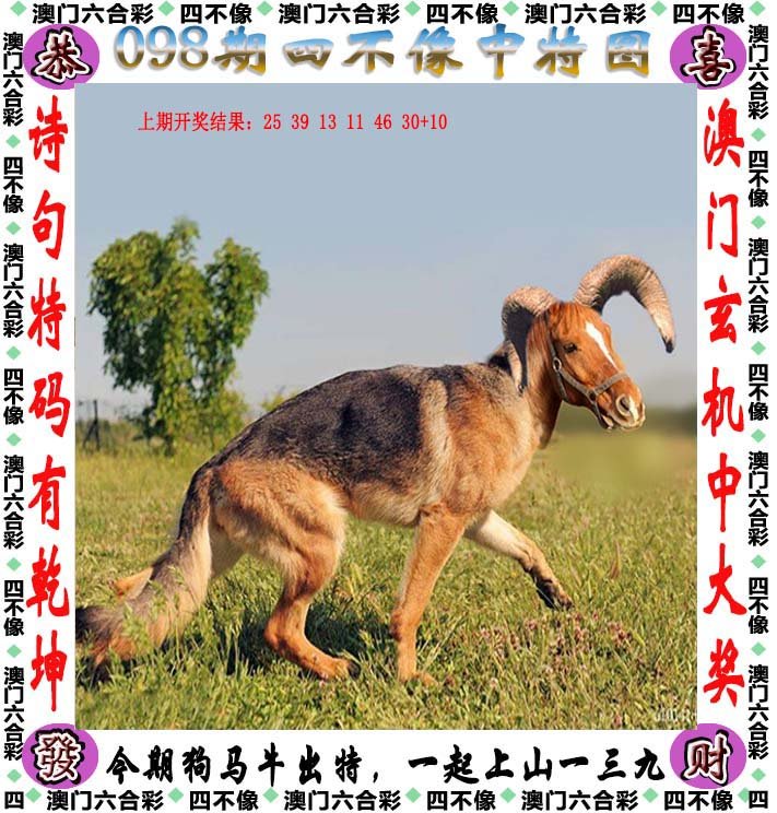 探索新澳马，今天最快最新图库的视觉盛宴新澳马今天最快最新图库223期四不像图片