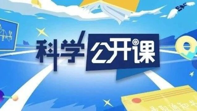 探寻新奥全部开奖记录的奥秘，一场数字与概率的艺术之旅新奥全部开奖记录查询今晚开奖