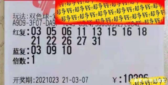 2013年双色球第4期开奖结果揭晓，幸运数字引领新春希望双色球2023100期开奖结果查询