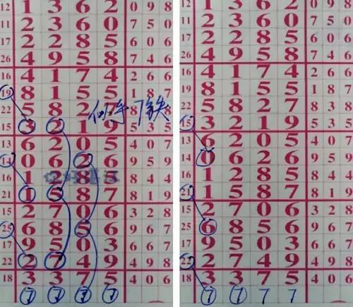 七星彩南海论坛，数字背后的智慧与机遇七星彩南海论坛特区