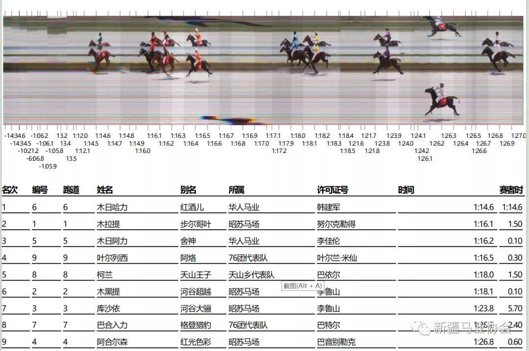 2019正版马会资料大全，揭秘赛马的魅力与策略2020正版马会资料免费大全