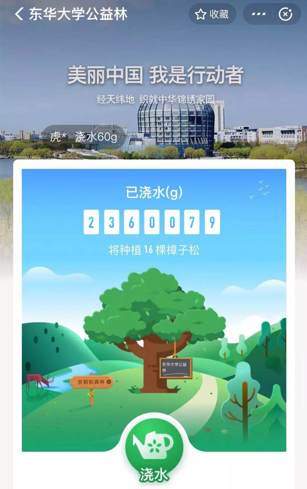 江西福彩网，公益与梦想的桥梁江西福彩网官方网站