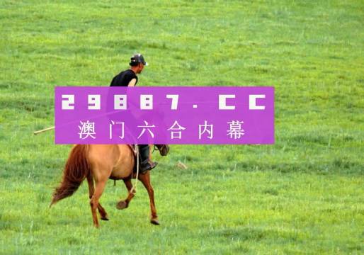 澳门彩，49选7的数字游戏与概率分析4949精准澳门彩最准确的2023年