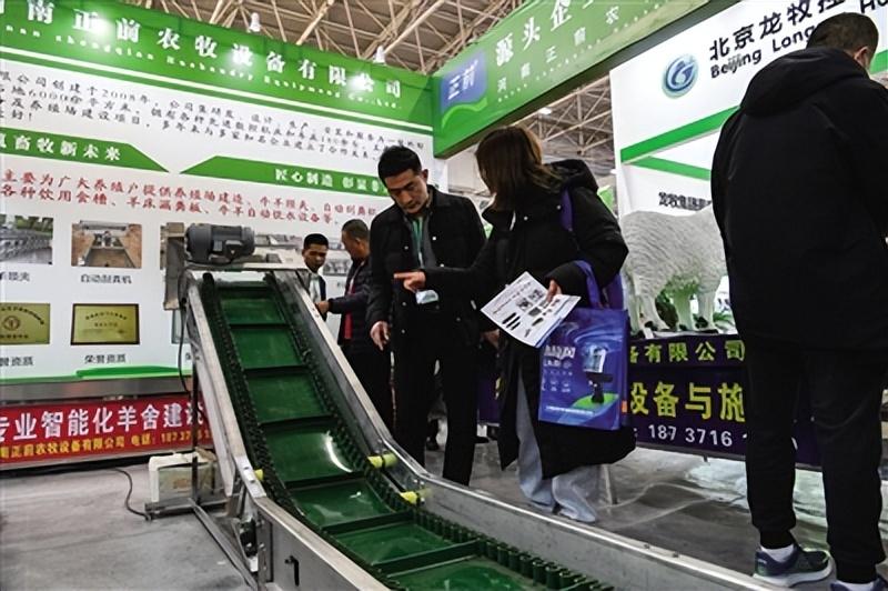 探索香港文化新视界，2023年香港资料正版大全指南香港资料正版大全2023专注于智能生态发展