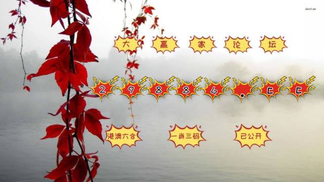 曾道正版资料免费大全，一肖之谜的探索与反思曾道正版资料免费大全一肖一码港彩大众网