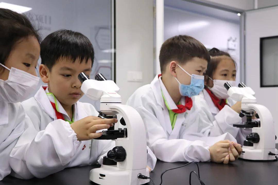 黄大仙精准资料