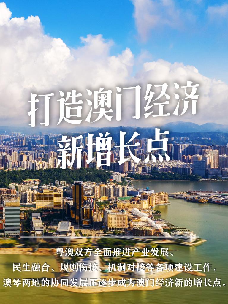 澳门资料大全2035，探索东方蒙地卡罗的多元魅力澳门资料大全免费2023年最新版使用方法