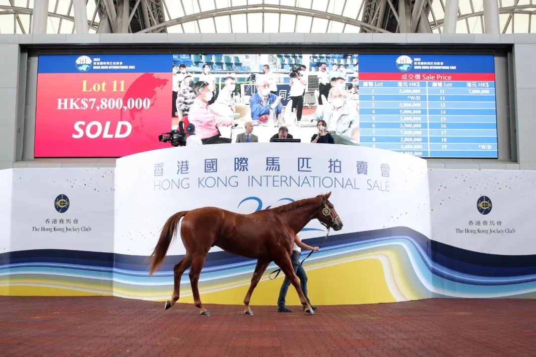 香港马会开将结果直播，科技与传统的完美融合，打造全新赛事体验时代！