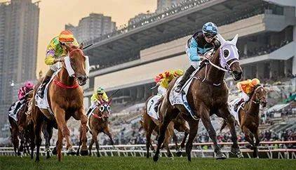 2019年香港马会资料大全，全面解析与深度分析香港2021年马会资料大全