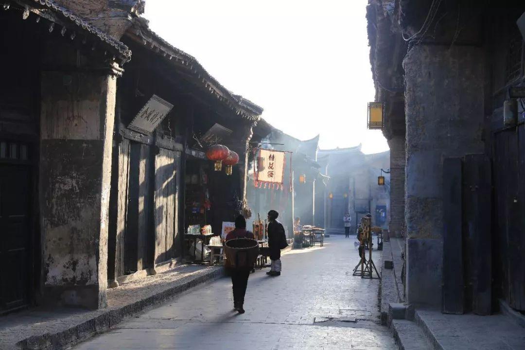 火凤凰高手论坛，网络时代的智慧碰撞与成长之旅火凤凰高手论坛官网