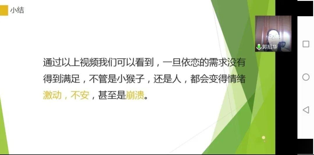 一码不误，肖形精准 解密103的准确之道一码一肖100准确使用方法王中王49114cc