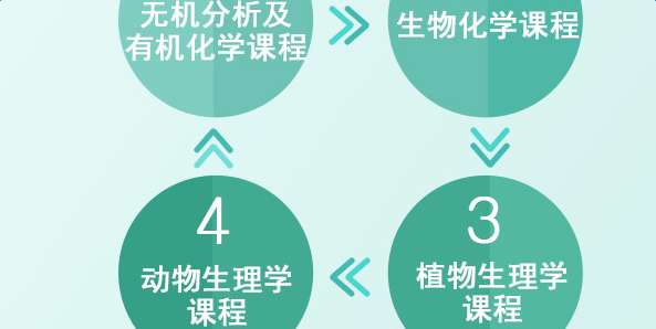 2018年免费全年资料，正版与共享的智慧平衡2018正版免费全年资料大全
